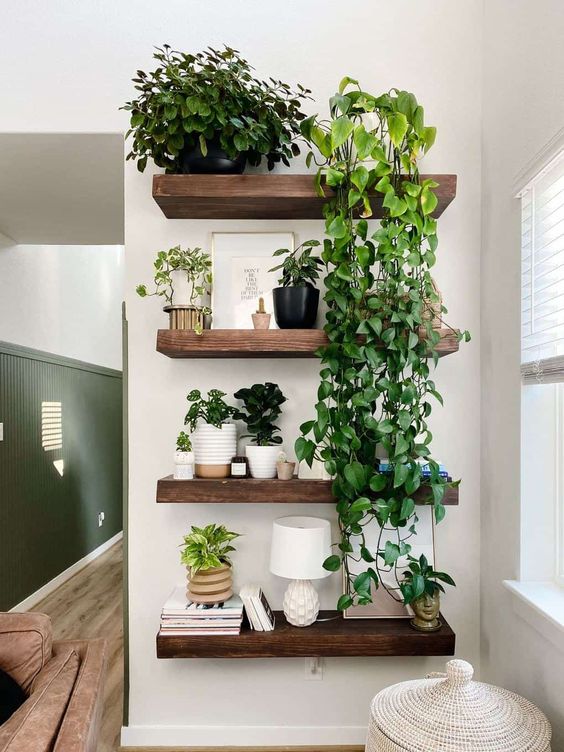 Floating Shelves for Plants