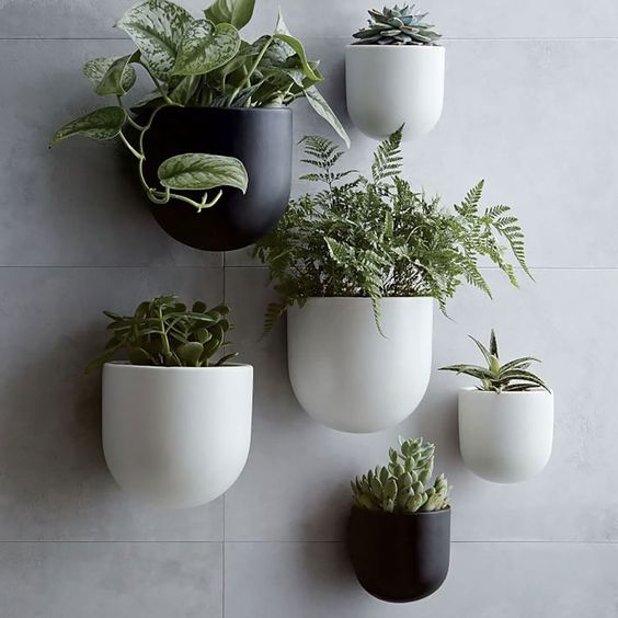 Wall mounted Planters